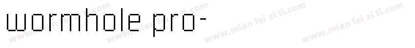 wormhole pro字体转换